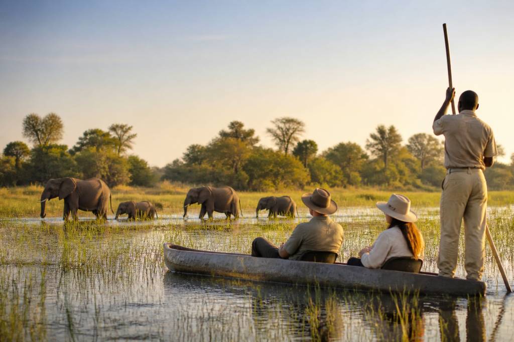 Safari delta : les meilleures expériences à vivre au fil de l’eau Safari delta : les meilleures expériences à vivre au fil de l’eau